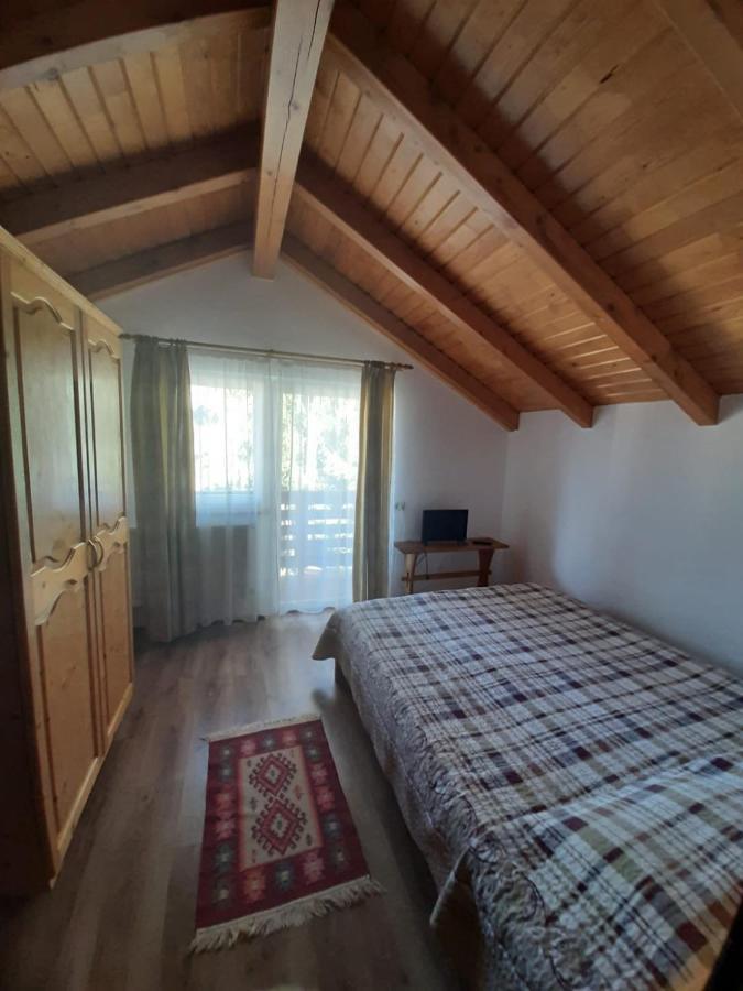 Apartmán Casuta Pietrosul Rodnei Borşa Exteriér fotografie