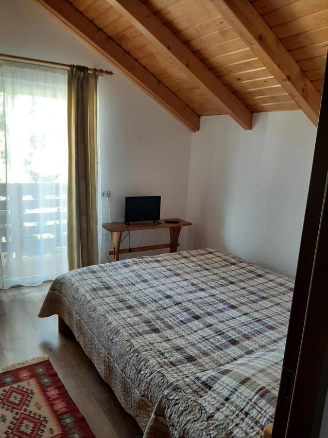 Apartmán Casuta Pietrosul Rodnei Borşa Exteriér fotografie