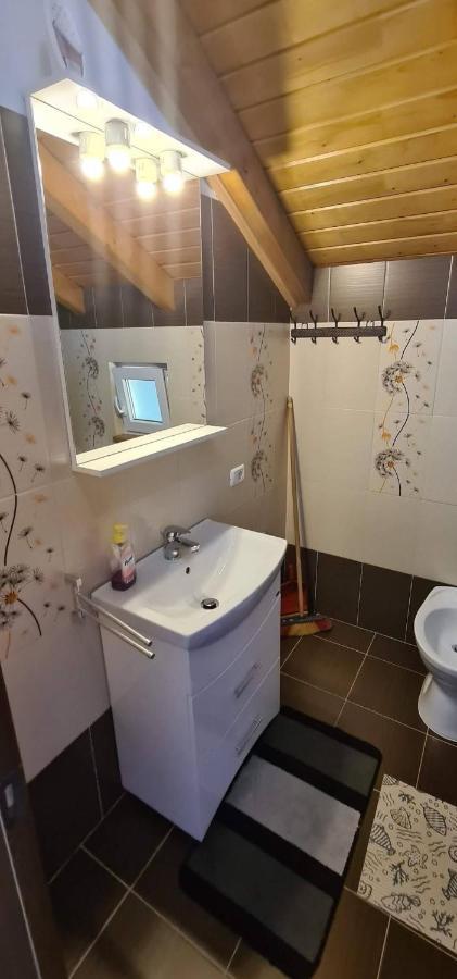 Apartmán Casuta Pietrosul Rodnei Borşa Exteriér fotografie